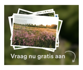 Gratis set Gedichtenkaarten via Natuurbegravennederland