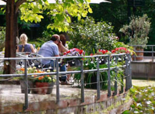Gratis bezoek aan Hortus Botanicus Haren-Groningen