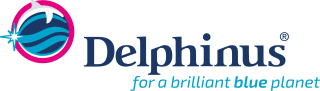 Obtén paquete Couples Dream por $139.50 en Delphinus