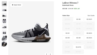 Nike Lebron Witness 7 voor €57,99