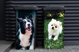 Container stickers met 72% korting! Selectie van kleine en grote stickers. Vanaf: € 5,31. Exclusief verzending.