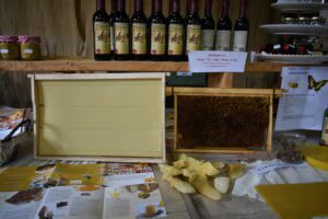 Gratis Open Imkerijdagen op 8 en 9 juli 2023