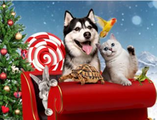 Código 15% Descuento Navidad tienda de Mascotas Kiwoko