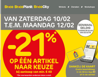21% korting op een artikel naar keuze bij Brico