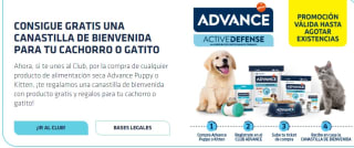 Consigue una de las 1500 canastillas para perrito o gatitio