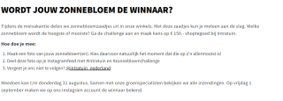Gratis zonnebloem zaadjes bij Intratuin