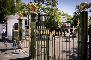 Bezoek Artis gratis met stadspas Amsterdam