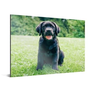 Eigen Foto op aluminium - 100x70 cm voor €36,49 dmv code bij CanvasCompany