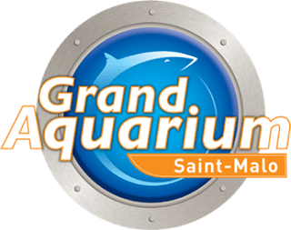 Profitez des billets pour le Grand Aquarium de Saint Malo à partir de 12€
