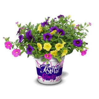 Plantjesmarkt bij de Praxis