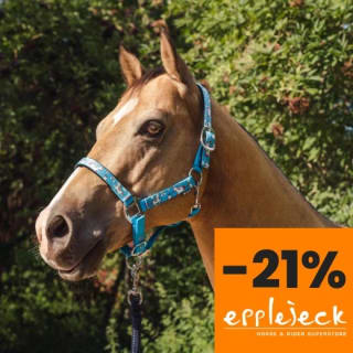 21% korting op topmerken bij Epplejeck