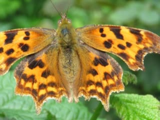 Gratis bezoek aan Hortus Botanicus Haren-Groningen