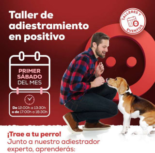 Taller de adiestramiento Gratis con Kiwoko