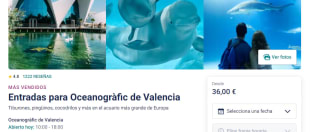 Oceanogràfic de Valencia: Entrada sin colas por 37,10€