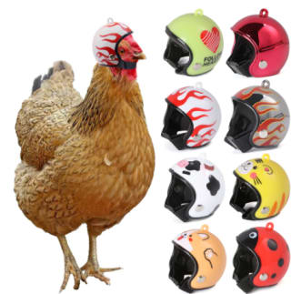 Casco de seguridad para gallina por $15.72 en Alixpress