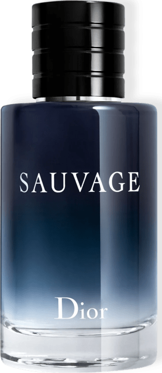 Perfume MAsculino Sauvage de 100ml - R$ 629,00