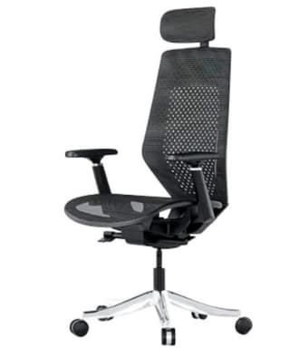 FlexiSpot Ergonomische stoel Maximum Comfort BS11 Pro voor €279,99 dmv code