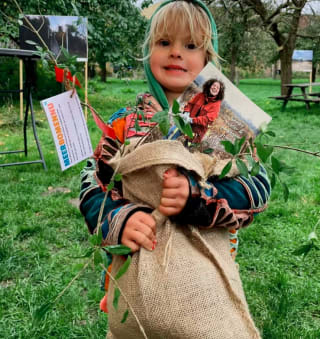 Gratis af te halen diverse bomen en struiken op verschillende locaties door heel Nederland.