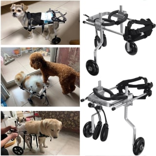Silla de Ruedas para Perros y Gatos a $1,127 en Banggood
