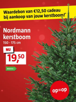 Kerstboom + Bauhaus tegoedkaart twv €12,50 bij Bauhaus voor €19,50