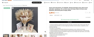 Flores secas Decorativas, 70 Unidades, Hierba de Pampas secas 45cm por 3,99€