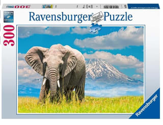 Recopilación de puzzles de la marca Ravensburger desde 3,57€