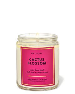 Alle grote luxe geurkaarsen voor €19,95 bij Bathandbodyworks