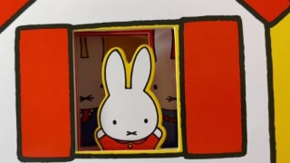 Bij Nijntje thuis van Dick Bruna voor €6,80 bij bol.com