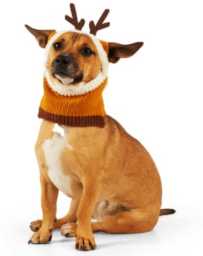 Gorro de Reno para Perro Merry Makings por $119 en Petco