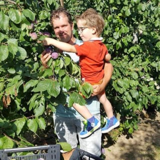 De fruitigste dagen, gratis dagje uit bij diverse fruittelers