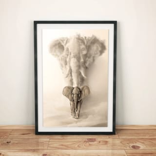 1 lamina gratis y ademas 2x1 en tu compra