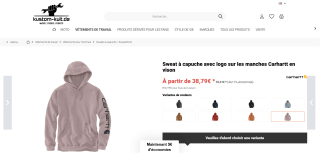 Sweat à capuche avec logo sur les manches Carhartt en vison à 38.79€
