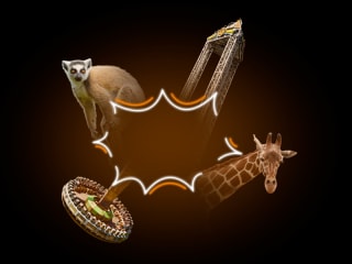 Black Friday Bono platino a solo 182€ en Bonoparques