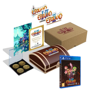 Evoland 10th Anniversary Edition (PS4) a tan solo 25,61€