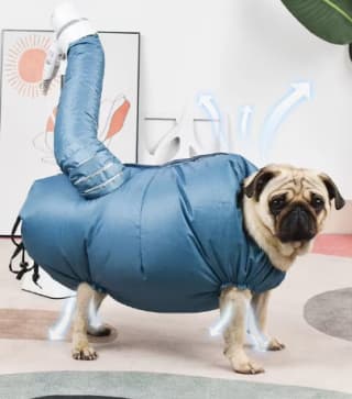 Secador de pelo portátil plegable para mascotas desde 4.95€