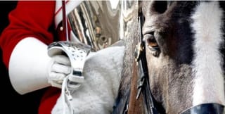 Vuelos a Londres desde 18€ ida/vuelta.