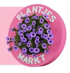 Plantjesmarkt bij Gamma 11 t/m 13 april