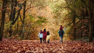 Center Parcs Najaar – 3 dagen midweek of 3 dagen weekend vanaf €169 bij de AH