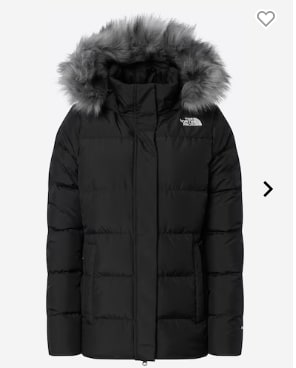 Chaqueta North Face Gotham por 169.15€