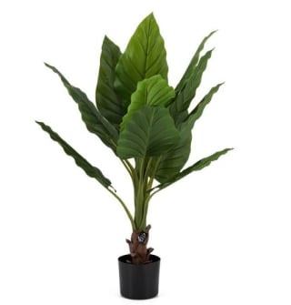 Strelitzia kunstplant voor €20,00 bij DKW Woonvision