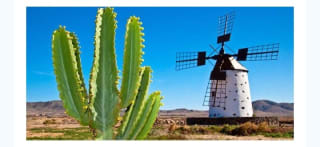 Fuerteventura 5 días con Vuelos incluidos desde 259€.