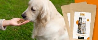 Muestra gratis a domicilio de comida para perro