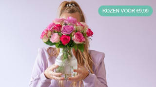 Brievenbus rozen voor €9,99 bij Bloompost