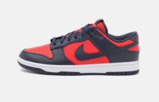 Diverse Nike Dunk sneakers vanaf €49,95 bij Zalando