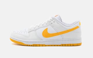 Nike Dunk Low Retro sneakers voor €59 dmv code bij Zlando