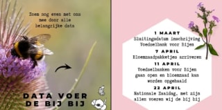 Wordt gratis een Voedselbank voor Bijen en ontvang gratis zakjes bloemzaad om uit te delen