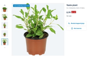Diverse vaste planten voor €0,99 bij de Aldi