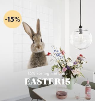15% korting op alle IXXI's