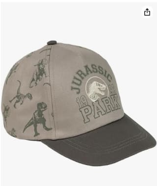 Gorra Infantil con Visera de Jurassic Park, Gris, Talla única popr 8,64€