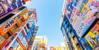 Japón 12 días desde 1799€ por persona.